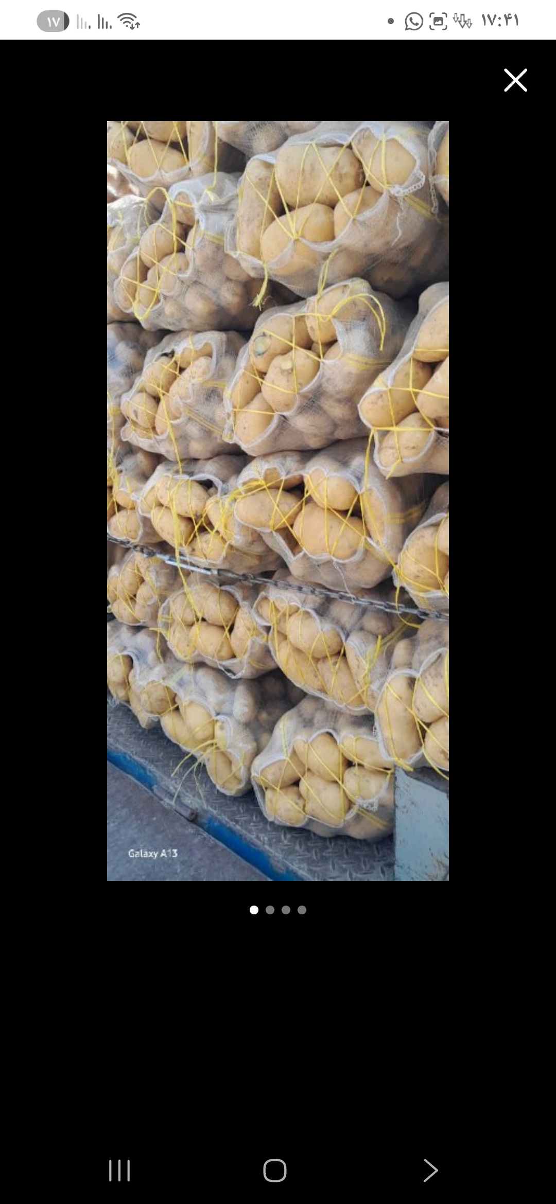 سیب زمینی سورت شده مخصوص صادرات